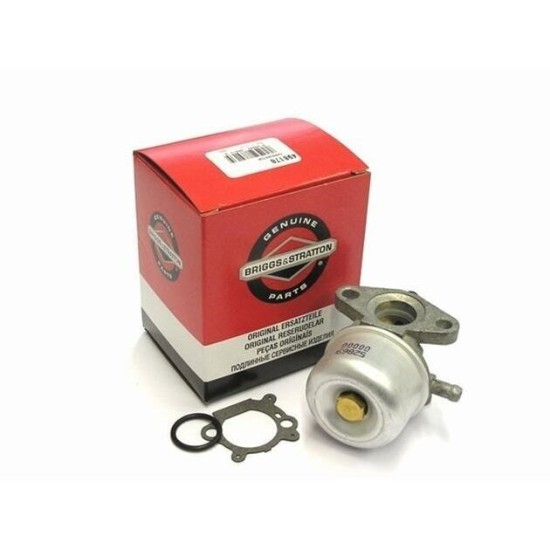 Karbiuratorius Briggs&Stratton 799868