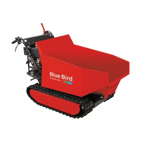 BLUE BIRD CARRIER 500 DH benzininis karutis
