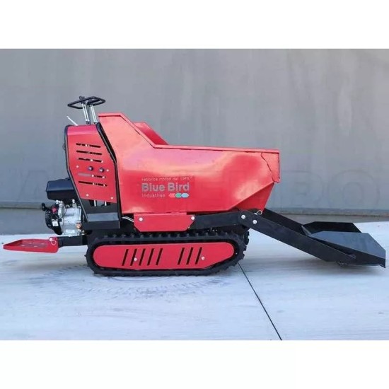 BLUE BIRD CARRIER 500 DLH benzininis karutis