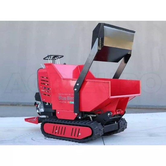 BLUE BIRD CARRIER 500 DLH benzininis karutis