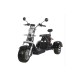 Elektrinis Triratis CP-3 su off-road padangomis, 1000W, 20Ah Li