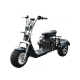 Elektrinis Triratis CP-3 su off-road padangomis, 1000W, 20Ah Li